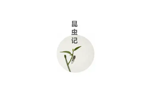 第五单元名著导读《昆虫记》课件(共51张PPT)统编版语文八年级上册
