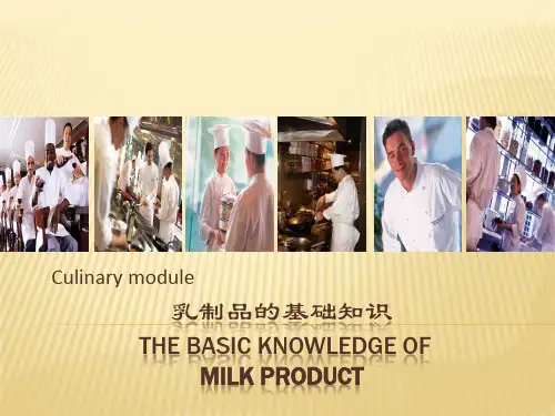 乳制品的基础知识PPT课件