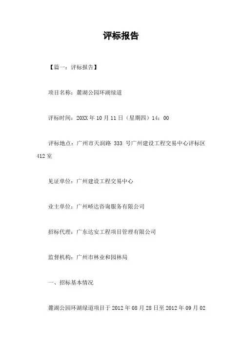评标报告