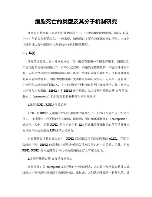 细胞死亡的类型及其分子机制研究