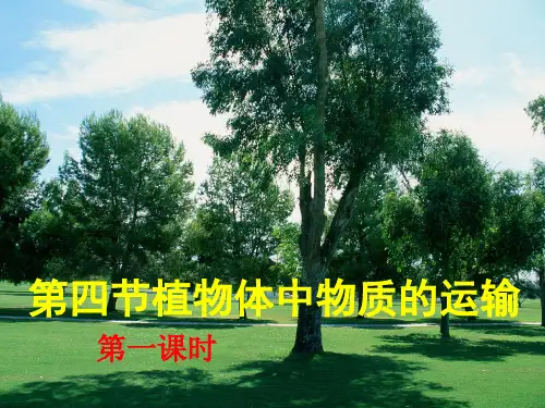 植物体内物质的运输(第一课时)[下学期]PPT课件(初中科学)
