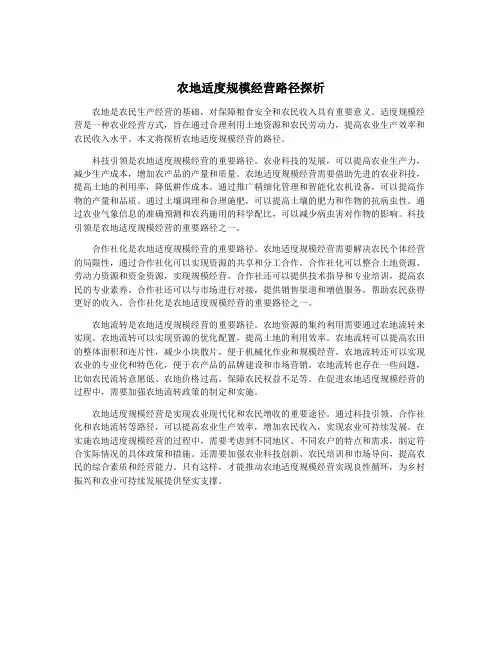 农地适度规模经营路径探析