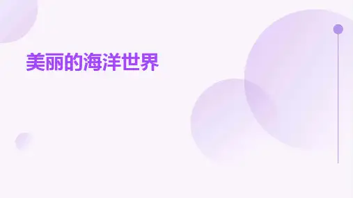 美丽的海洋世界课件