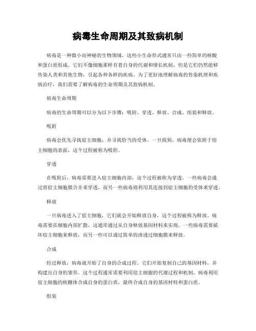 病毒生命周期及其致病机制