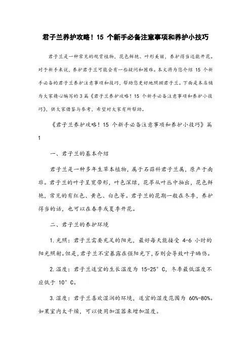 君子兰养护攻略!15个新手必备注意事项和养护小技巧