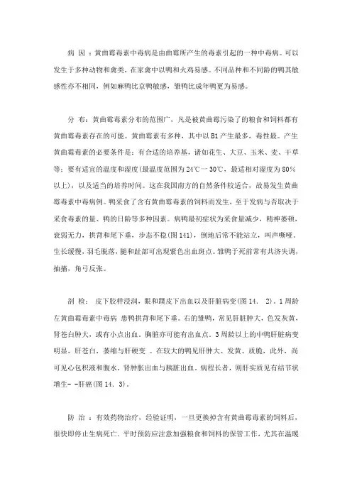 黄曲霉毒素中毒DOC