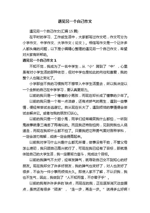 遇见另一个自己作文