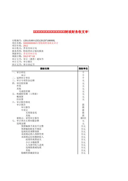 财务收支类审计台账模板