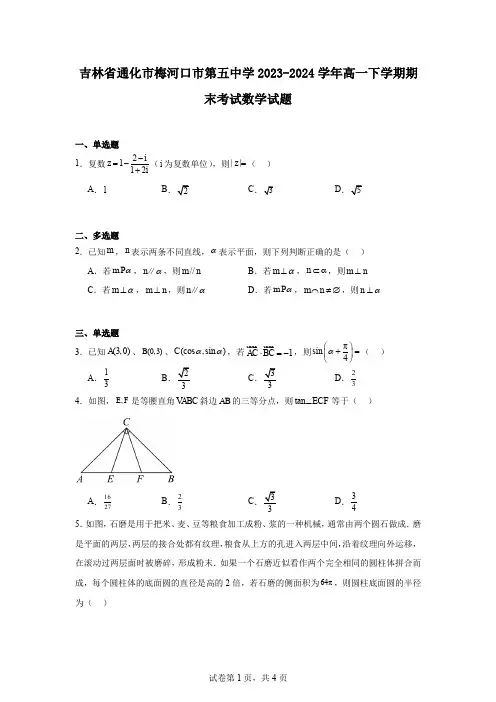 吉林省通化市梅河口市第五中学2023-2024学年高一下学期期末考试数学试题