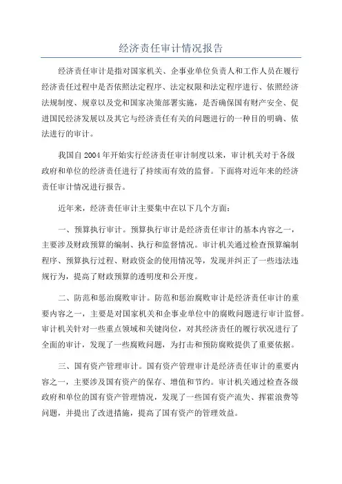 经济责任审计情况报告