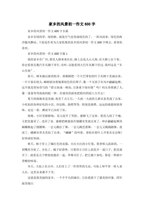 家乡的风景初一作文600字
