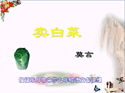 九年级语文卖白菜 (共20张PPT)(优质版)