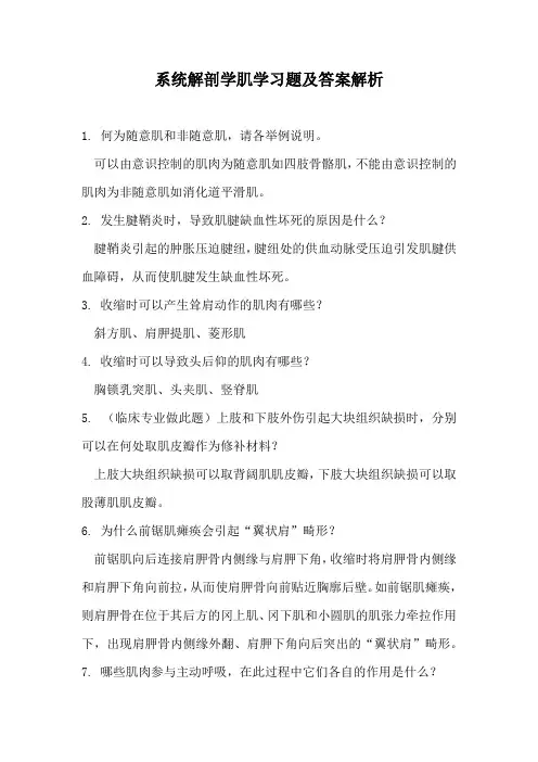 系统解剖学肌学习题及答案解析
