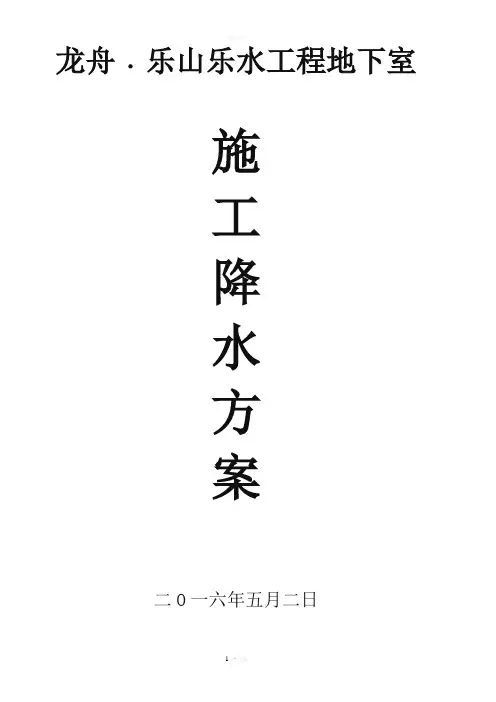 降水方案