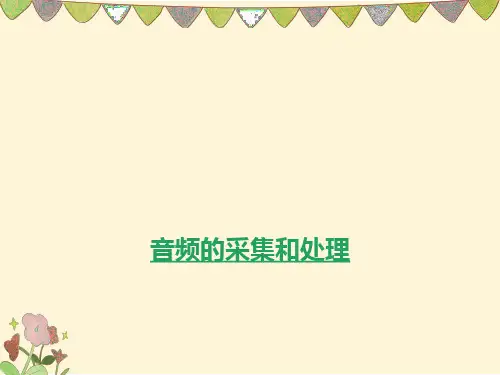 音频的采集和处理