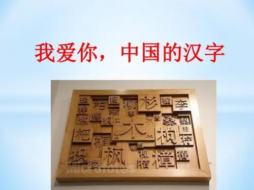 人教版小学五年级语文上册《我爱你-中国汉字》课件