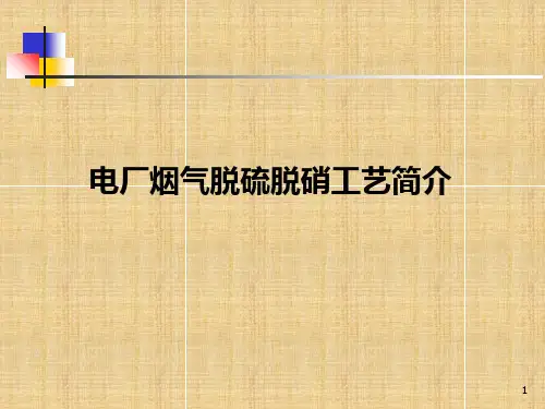 火力发电厂脱硫脱硝工艺
