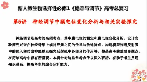 新人教生物选择性必修1《稳态与调节》高考总复习第5讲  神经调节中膜电位变化分析与相关实验探究