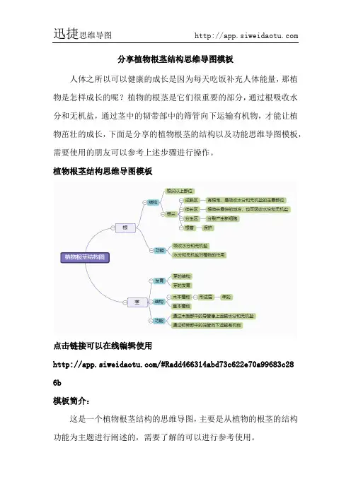 分享植物根茎结构思维导图模板--迅捷思维导图