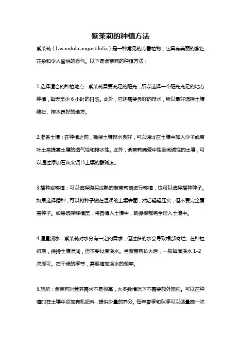 紫茉莉的种植方法
