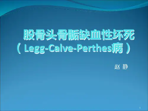 股骨头骨骺缺血性坏死PPT课件