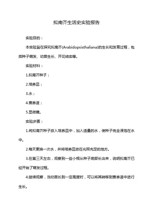 拟南芥生活史实验报告