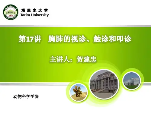 胸肺的视诊、触诊和叩诊