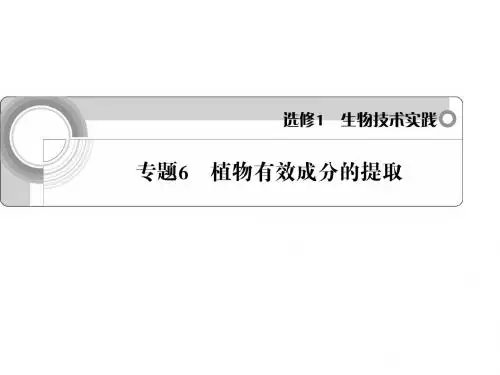 学案与测评课件生物人教版选修1专题6 植物有效成分的提取