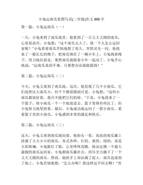 小兔运南瓜看图写话(二年级)作文600字