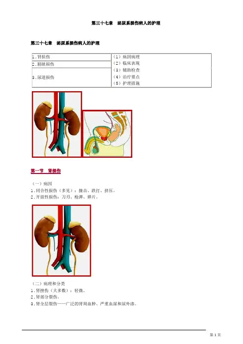 主管护师 外科护理学 第三十七章 泌尿系损伤病人的护理