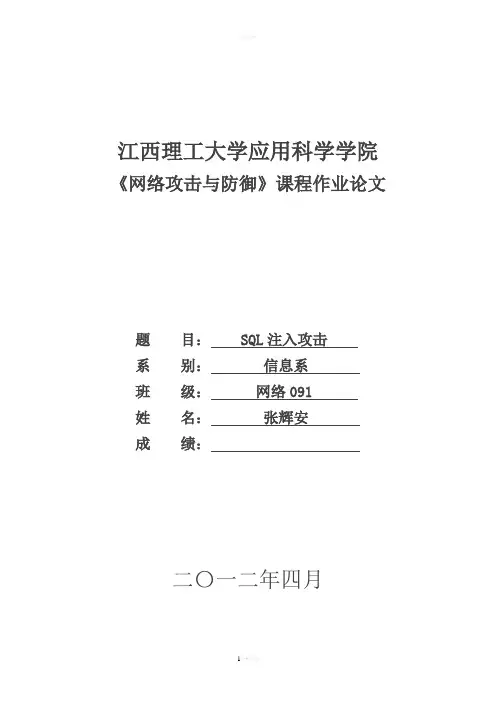网络攻击与防护论文4