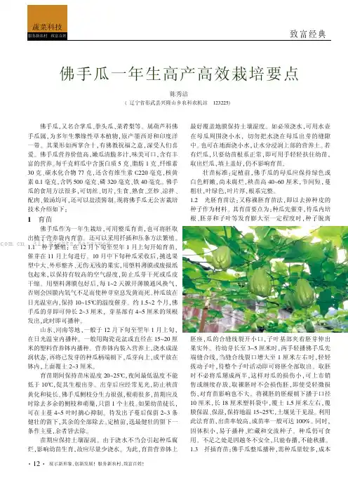 佛手瓜一年生高产高效栽培要点