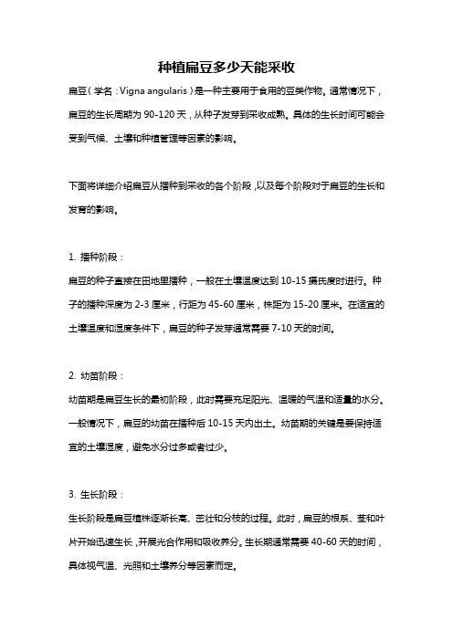 种植扁豆多少天能采收