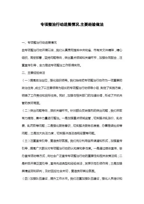 专项整治行动进展情况,主要经验做法