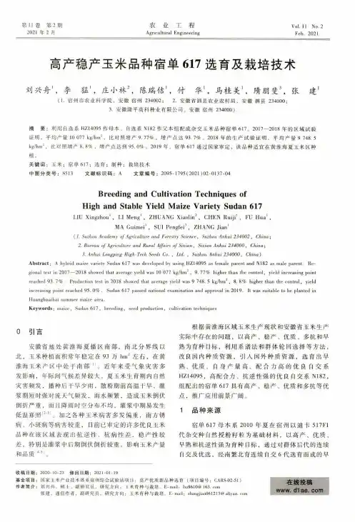 高产稳产玉米品种宿单617选育及栽培技术