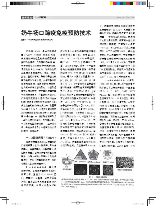 奶牛场口蹄疫免疫预防技术