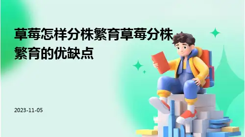 草莓怎样分株繁育草莓分株繁育的优缺点