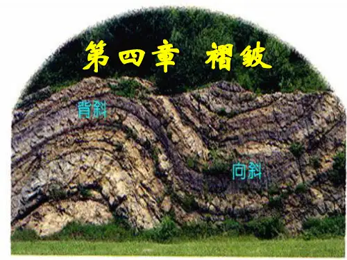 第四章褶皱
