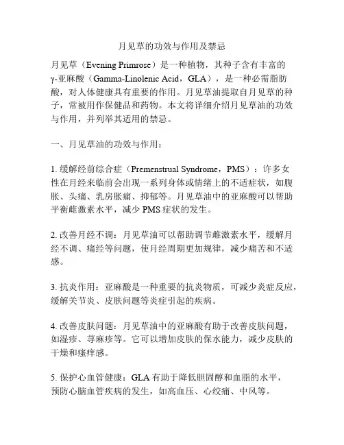 月见草的功效与作用及禁忌