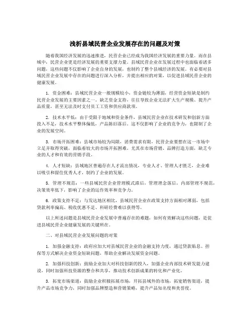 浅析县域民营企业发展存在的问题及对策