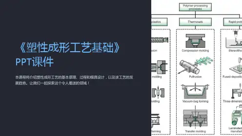 《塑性成形工艺基础》课件