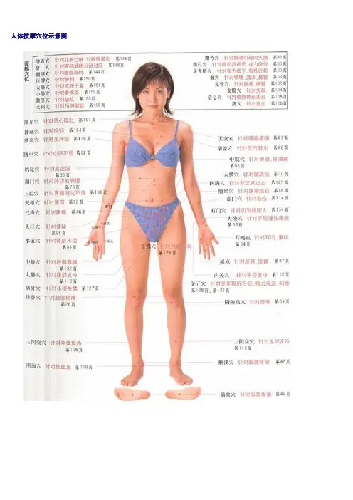 人体按摩穴位示意图(美女演示版)