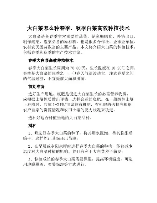 大白菜怎么种春季、秋季白菜高效种植技术