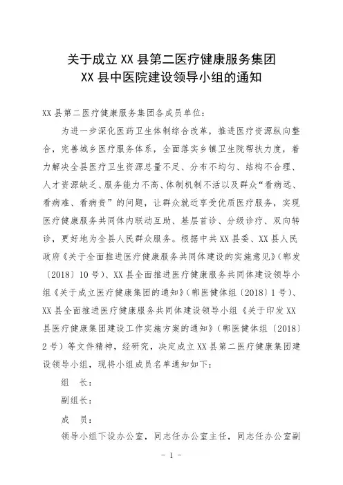 医共体第二医疗健康服务领导小组通知