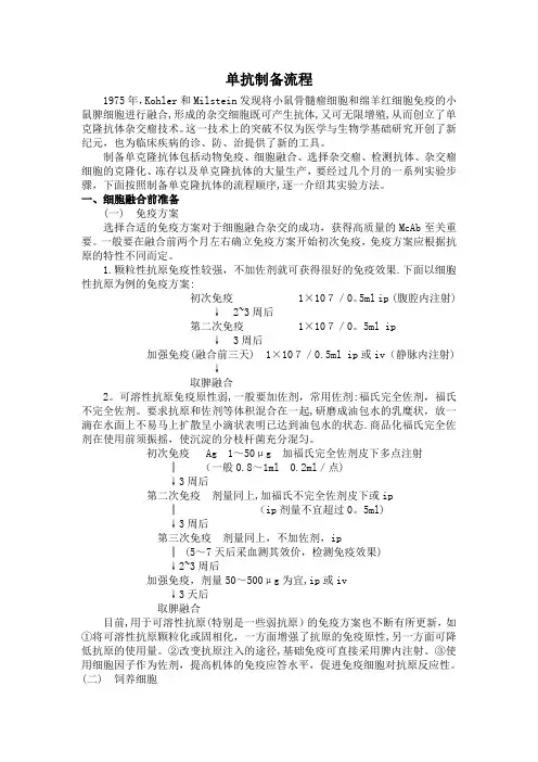 单克隆抗体制备流程