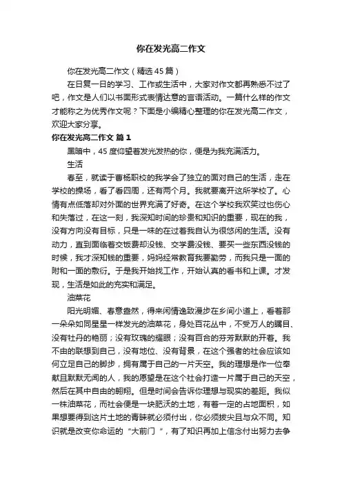 你在发光高二作文