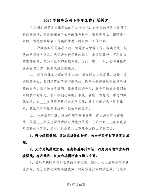 2024年保险公司下半年工作计划例文(3篇)