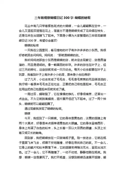三年级观察蝴蝶日记300字-蝴蝶的秘密