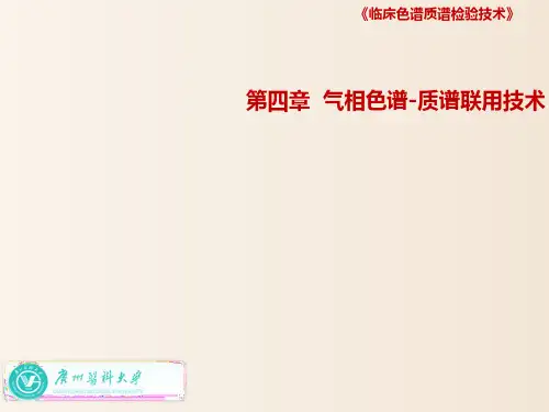 【培训课件-临床色谱质谱检验技术】_第四章气相色谱质谱联用技术(四)