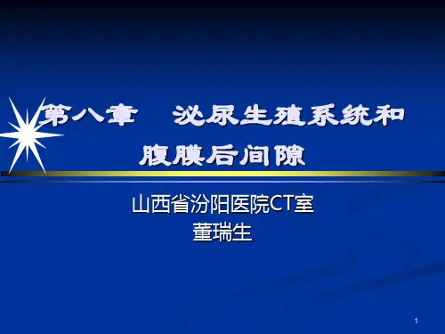 肾上腺影像诊断PPT课件